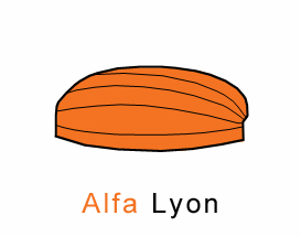 Alfa Markiezen Lyon